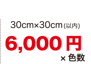 30cm×30cm(以内) 5,500円×色数